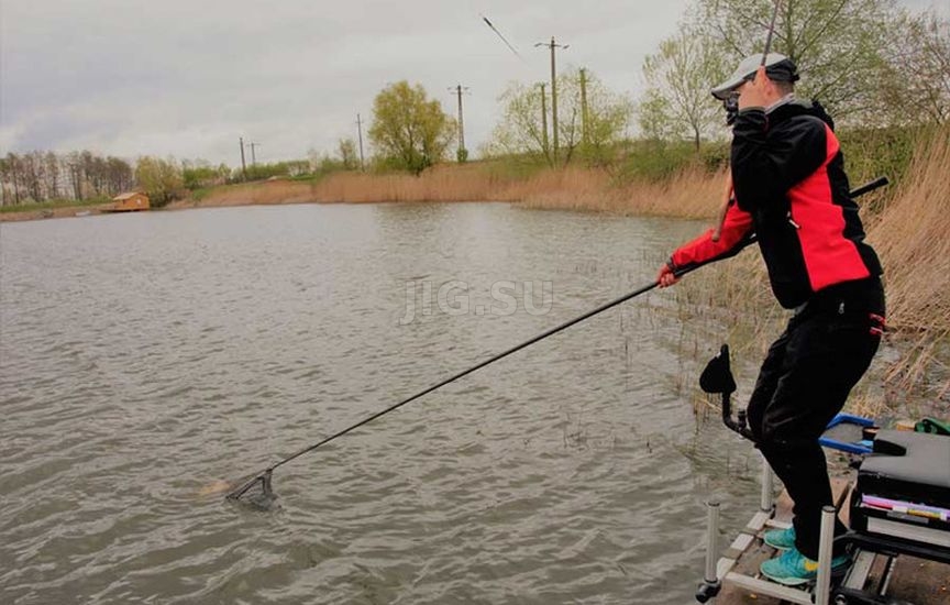 Ловля карася и карпа на дальний заброс