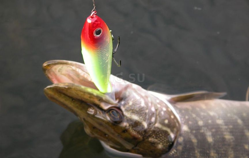 Ловля щуки на дорожку