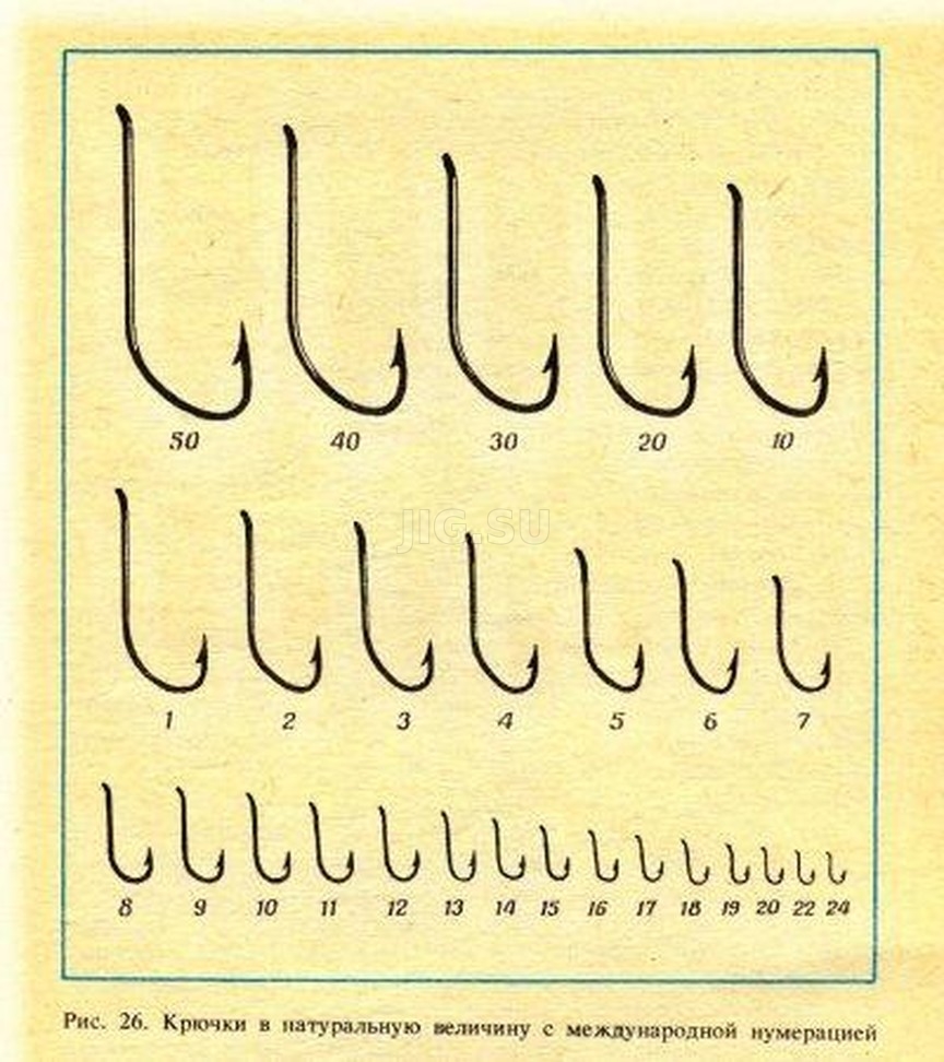 Международная