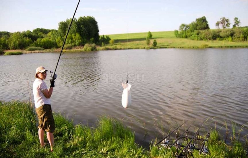 Удилища для ловли карпа