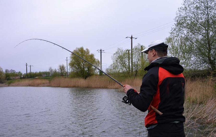 Ловля карася и карпа на дальний заброс