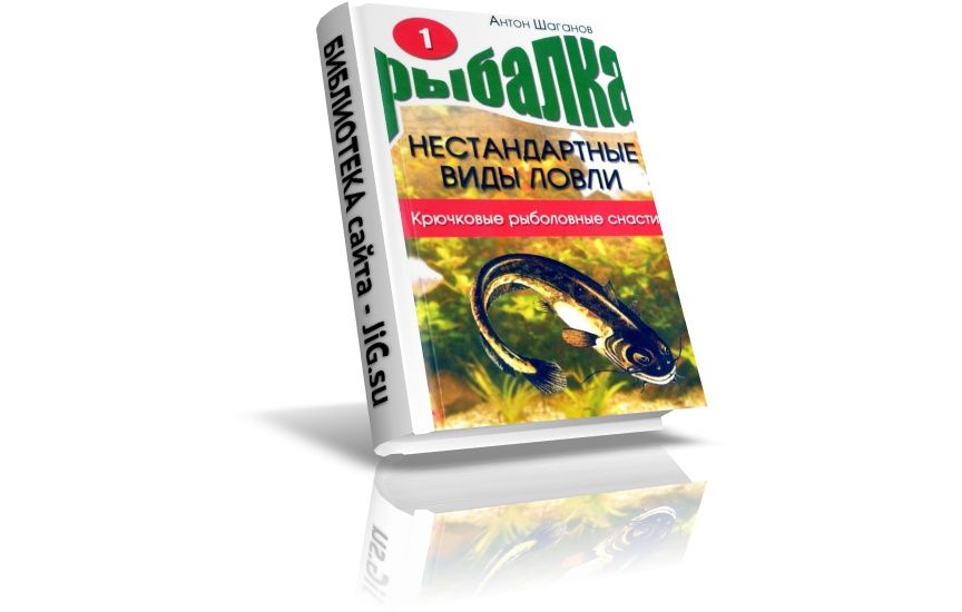 «Нестандартные виды ловли: Книга 1. Крючковые рыболовные снасти»,  Шаганов А., (2009)